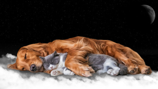 1678108 (a): :1920x1080